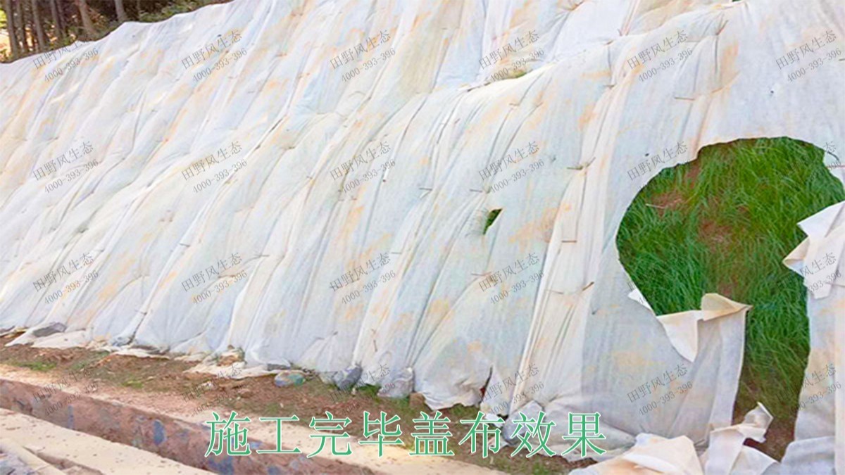 廣西百色山體滑坡生態(tài)修復(fù)工程 廣西百色山體滑坡生態(tài)修復(fù)工程