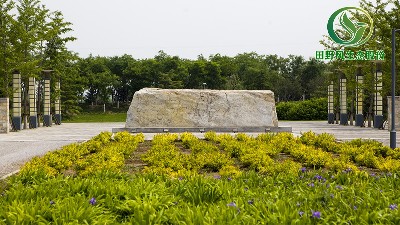 常見的植物養(yǎng)護(hù)養(yǎng)殖要怎么做？