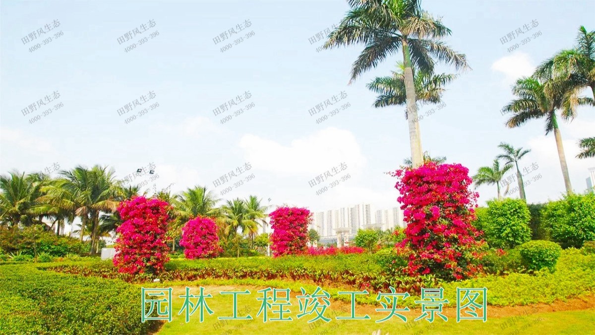 廣東珠海斗門濕地公園市政工程 廣東珠海斗門濕地公園市政工程