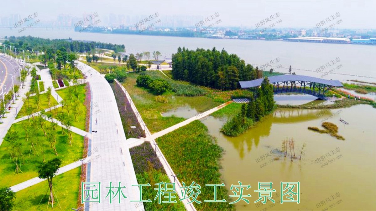 廣東珠海斗門美化綠化市政工程 廣東珠海斗門美化綠化市政工程