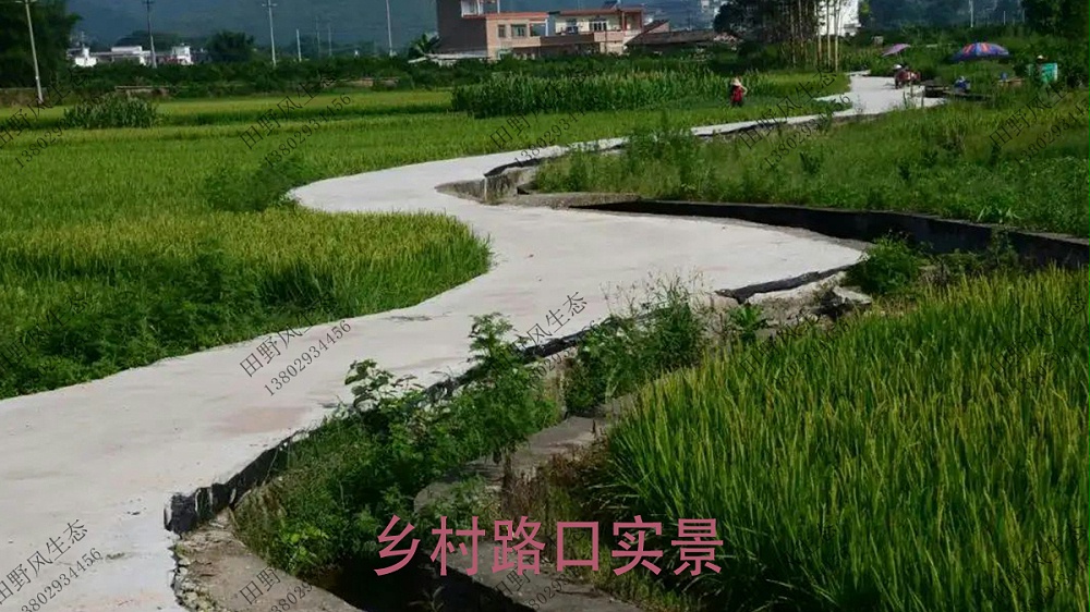 花卉種子批發(fā) 花卉種子批發(fā)