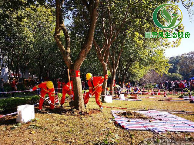 園林綠化，綠化養(yǎng)護