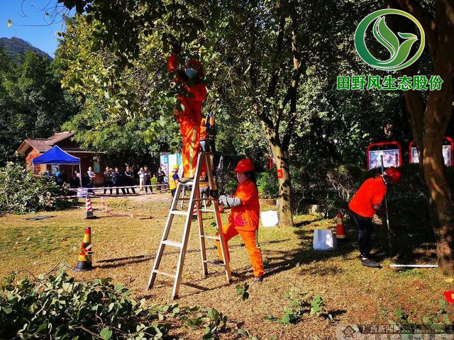 園林綠化，綠化養(yǎng)護