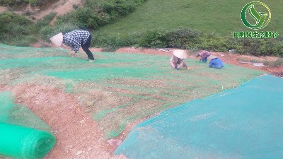 一次性筷子如何用來做綠化？田野風(fēng)告訴您