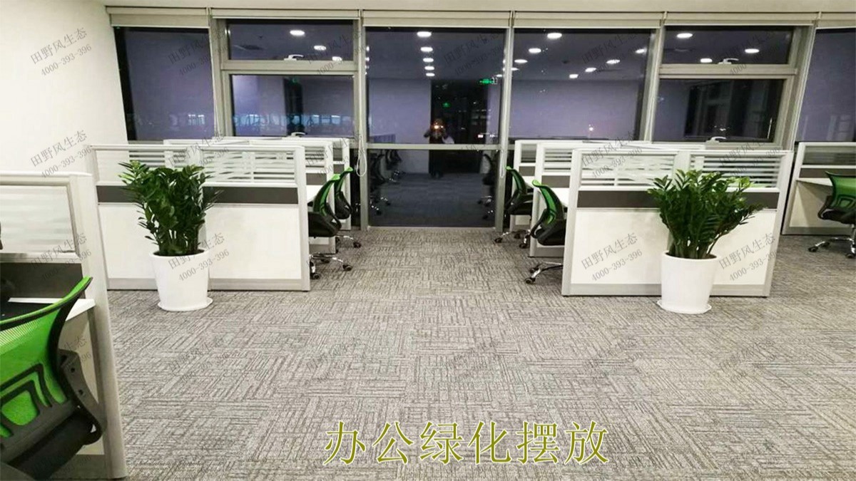 廣州市東泰化工有限公司綠植租賃案例 廣州市東泰化工有限公司綠植租賃案例