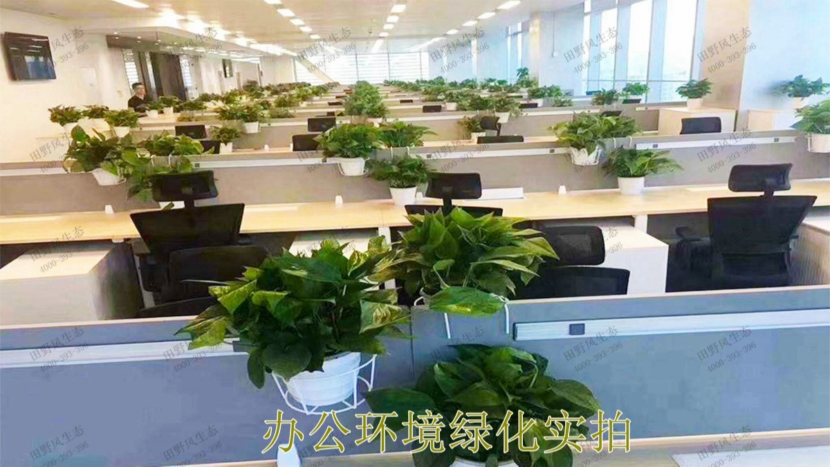 無(wú)限極綠植花卉景觀租賃案例展示 無(wú)限極綠植花卉景觀租賃案例展示