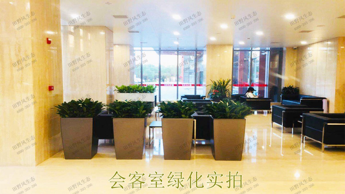 無(wú)限極綠植花卉景觀租賃案例展示 無(wú)限極綠植花卉景觀租賃案例展示