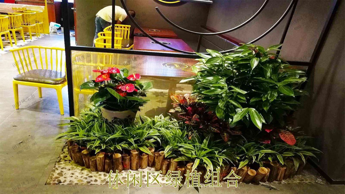 無(wú)限極綠植花卉景觀租賃案例展示 無(wú)限極綠植花卉景觀租賃案例展示