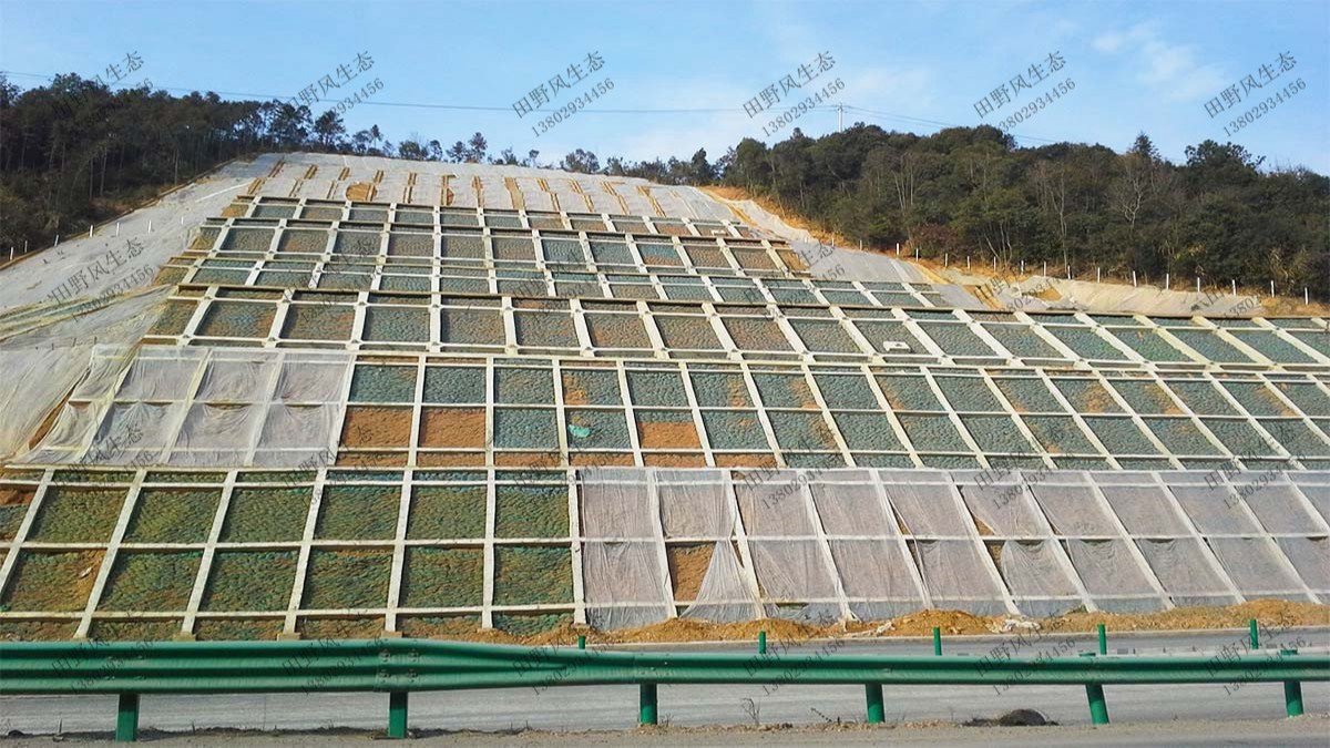 汕湛高速普寧段高速公路邊坡植草 汕湛高速普寧段高速公路邊坡植草