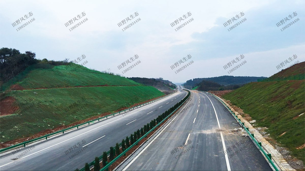 揭惠高速揭陽(yáng)段高速公路邊坡復(fù)綠工程 揭惠高速揭陽(yáng)段高速公路邊坡復(fù)綠工程