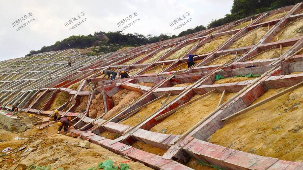 揭惠高速揭陽(yáng)段高速公路邊坡復(fù)綠工程 揭惠高速揭陽(yáng)段高速公路邊坡復(fù)綠工程