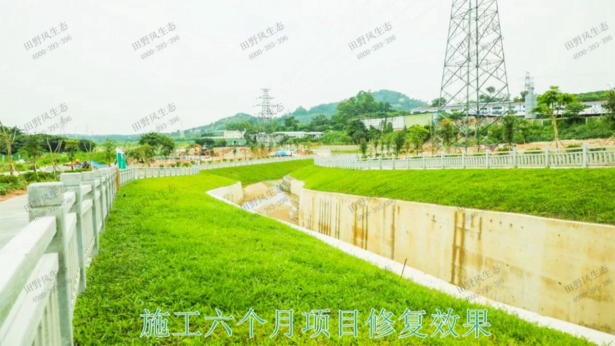 清城區(qū)銀盞河道生態(tài)治理工程 清城區(qū)銀盞河道生態(tài)治理工程