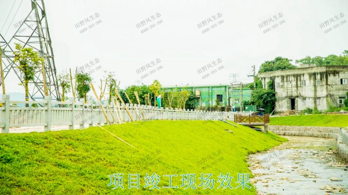 龍勝縣和平河道河堤坡面掛網(wǎng)植草施工 龍勝縣和平河道河堤坡面掛網(wǎng)植草施工