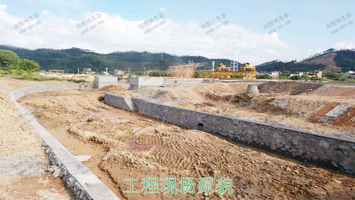 廣寧縣和漫水河道湖泊護坡綠化 廣寧縣和漫水河道湖泊護坡綠化