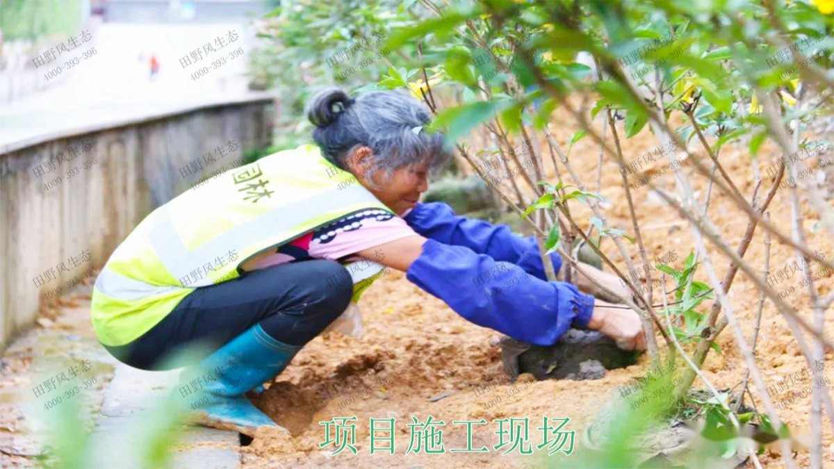 廣寧縣和漫水河道湖泊護坡綠化 廣寧縣和漫水河道湖泊護坡綠化