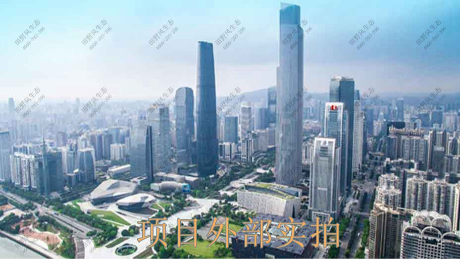 廣州凱華國際中心綠植出租案例 廣州凱華國際中心綠植出租案例