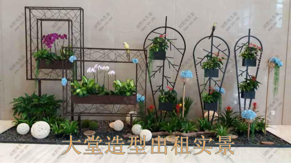 廣州凱華國際中心綠植出租案例 廣州凱華國際中心綠植出租案例