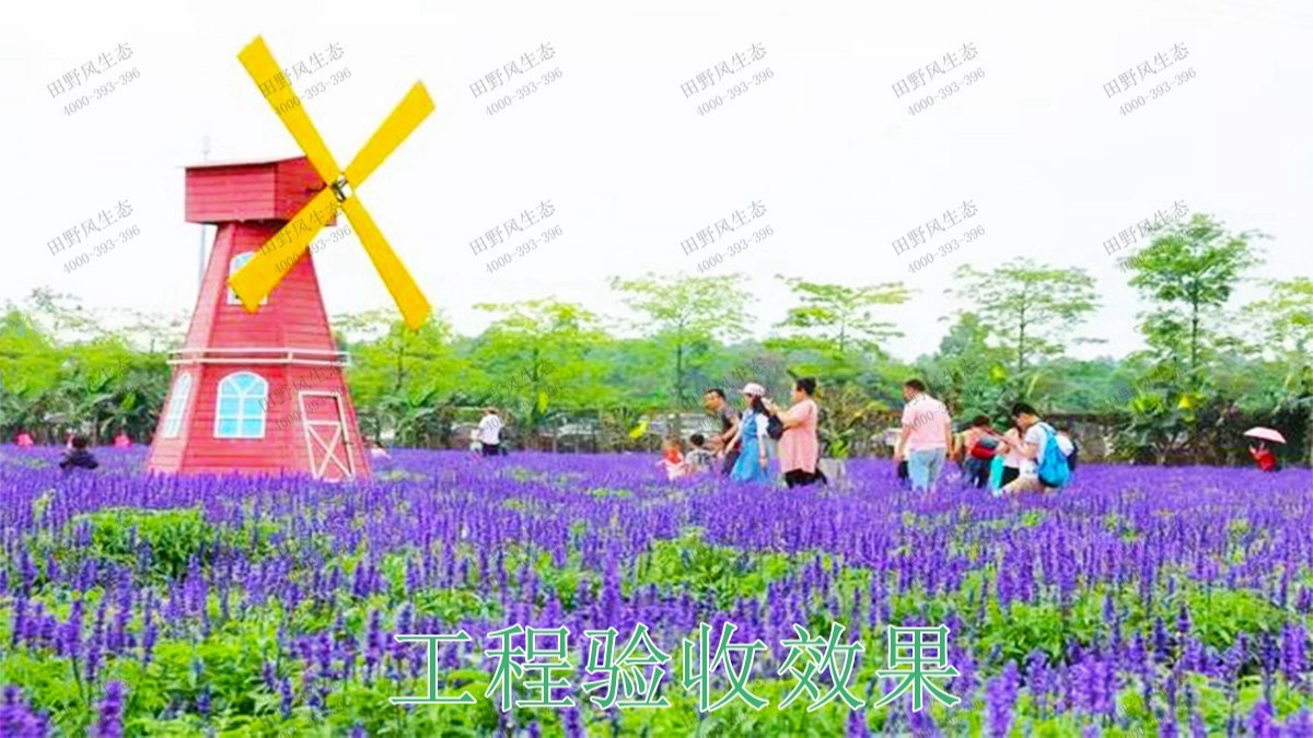 河北百花谷休閑綜合體項目 河北百花谷休閑綜合體項目