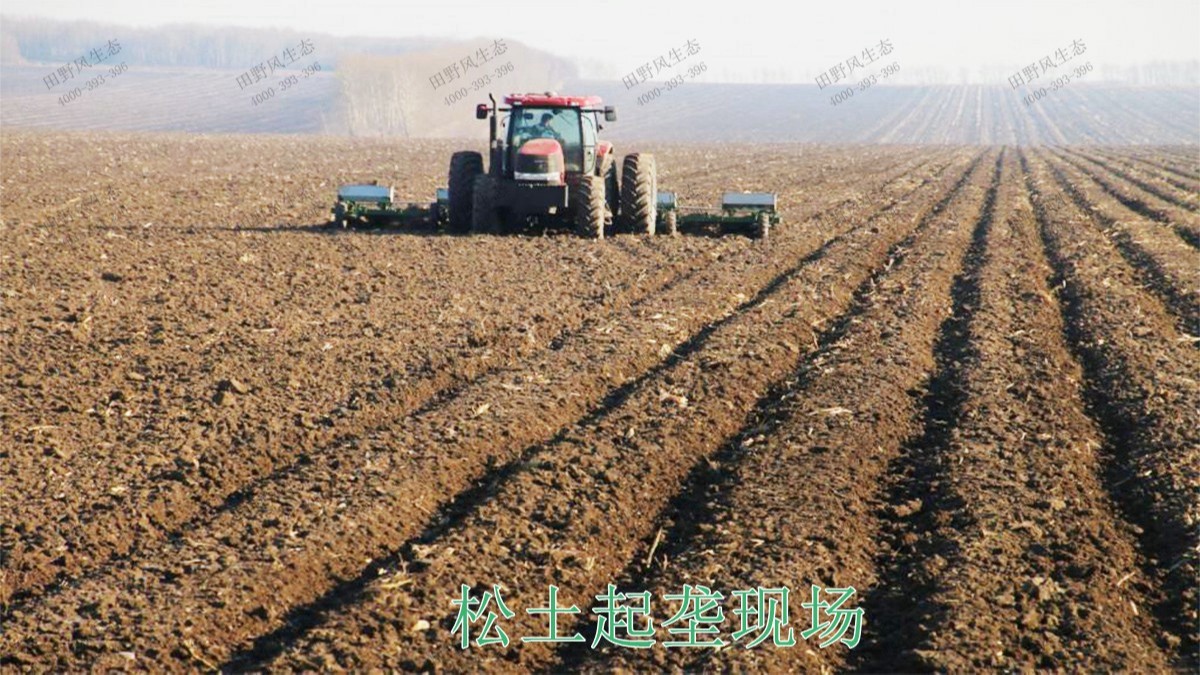 河北百花谷休閑綜合體項目 河北百花谷休閑綜合體項目