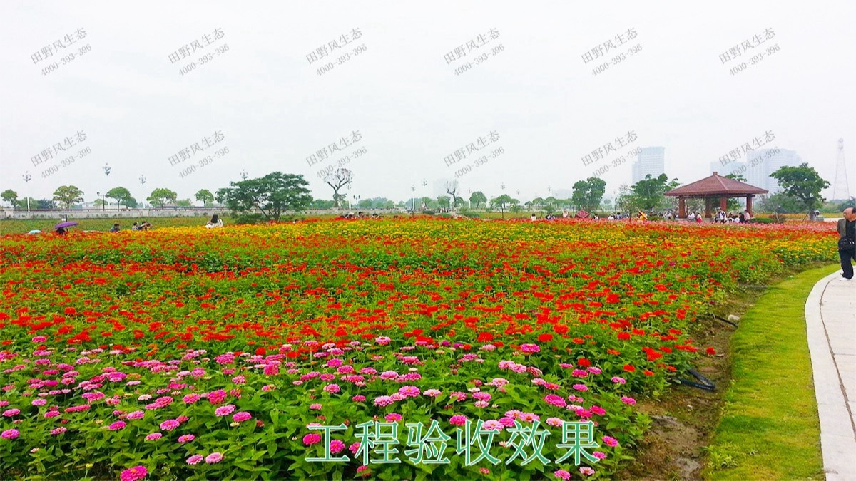 嶺南大地休閑生態(tài)綜合體項目 嶺南大地休閑生態(tài)綜合體項目