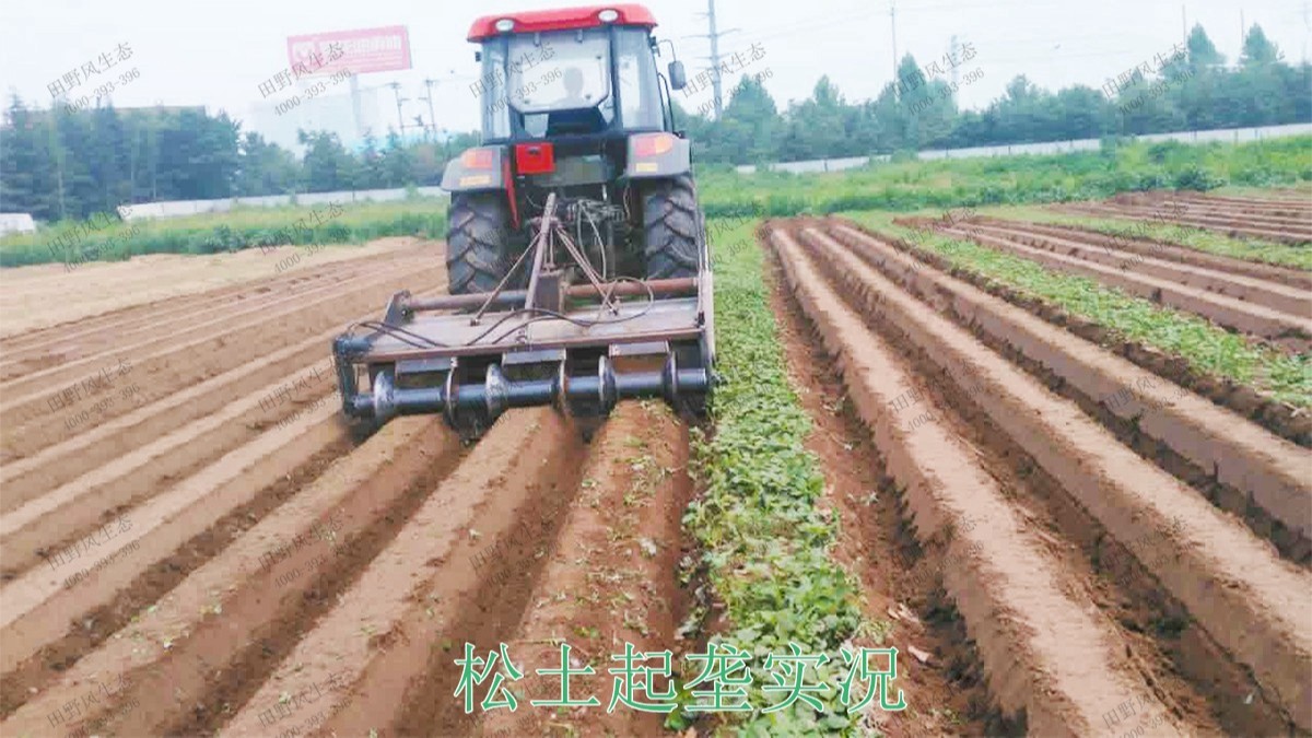 嶺南大地休閑生態(tài)綜合體項目 嶺南大地休閑生態(tài)綜合體項目