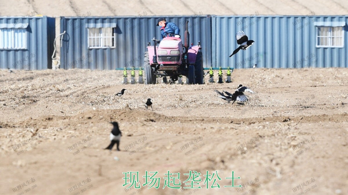 三水僑鑫生態(tài)園綜合體項(xiàng)目 三水僑鑫生態(tài)園綜合體項(xiàng)目