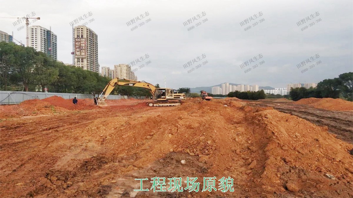 廣西百色市景區(qū)花海種植 廣西百色市景區(qū)花海種植