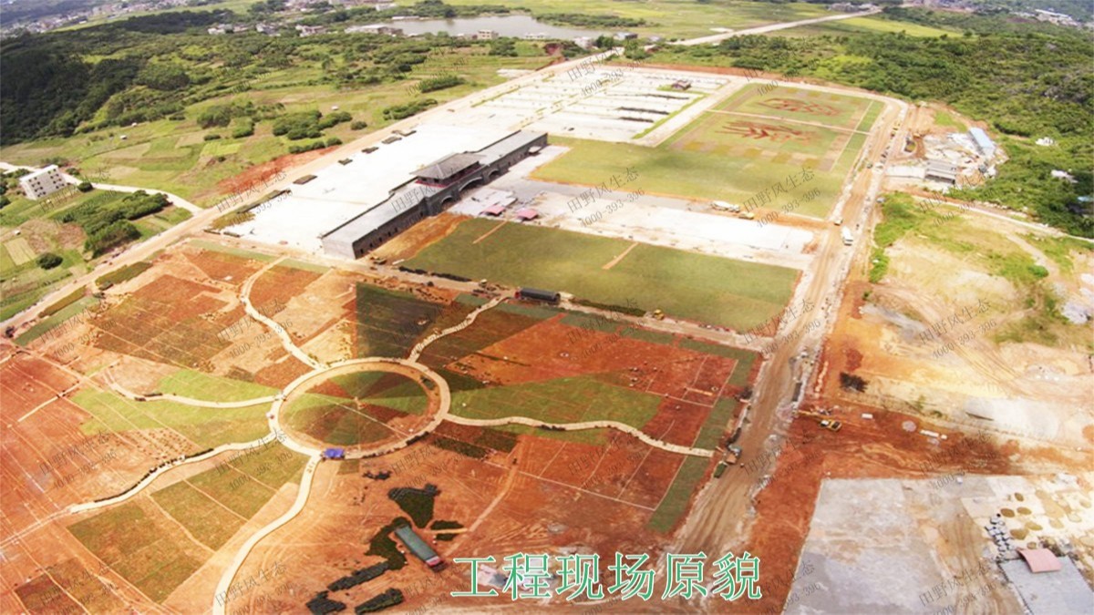 廣西北海市景區(qū)花海工程 廣西北海市景區(qū)花海工程