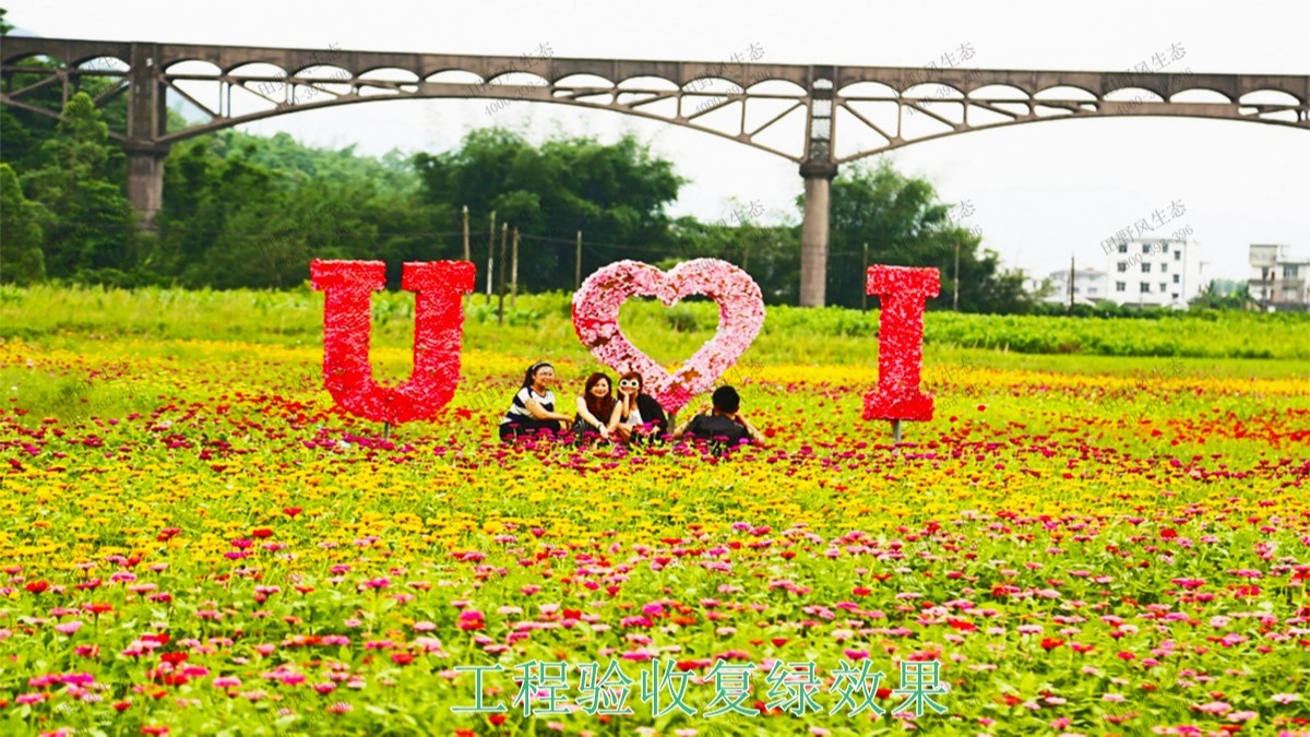 廣西蒙山縣景區(qū)花海工程 廣西蒙山縣景區(qū)花海工程