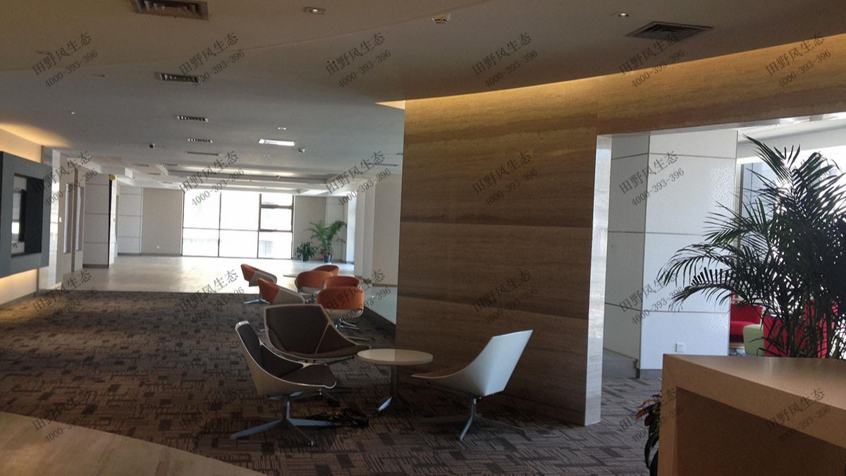 廣州凱德廣場植物花卉組合租賃案例 廣州凱德廣場植物花卉組合租賃案例