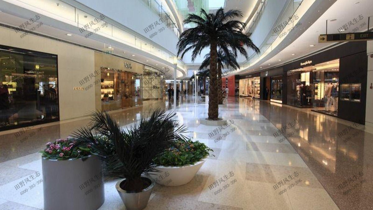 廣州凱德廣場植物花卉組合租賃案例 廣州凱德廣場植物花卉組合租賃案例