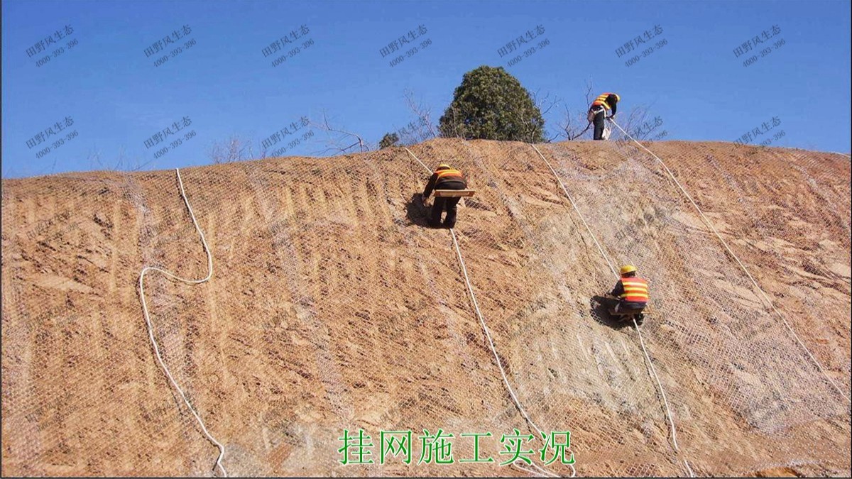 汕湛高建揭博段高速公路邊坡復(fù)綠 汕湛高建揭博段高速公路邊坡復(fù)綠