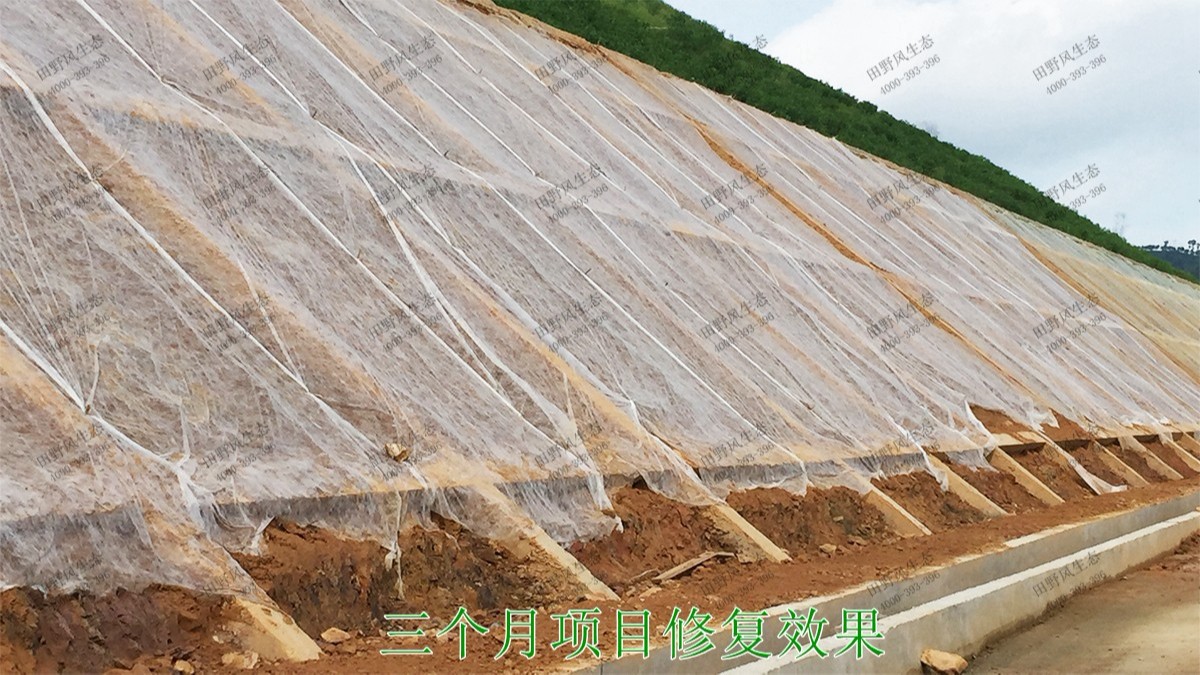 汕湛高建揭博段高速公路邊坡復(fù)綠 汕湛高建揭博段高速公路邊坡復(fù)綠