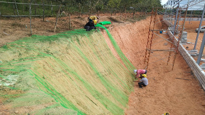 邊坡復(fù)綠施工現(xiàn)場 邊坡復(fù)綠施工現(xiàn)場