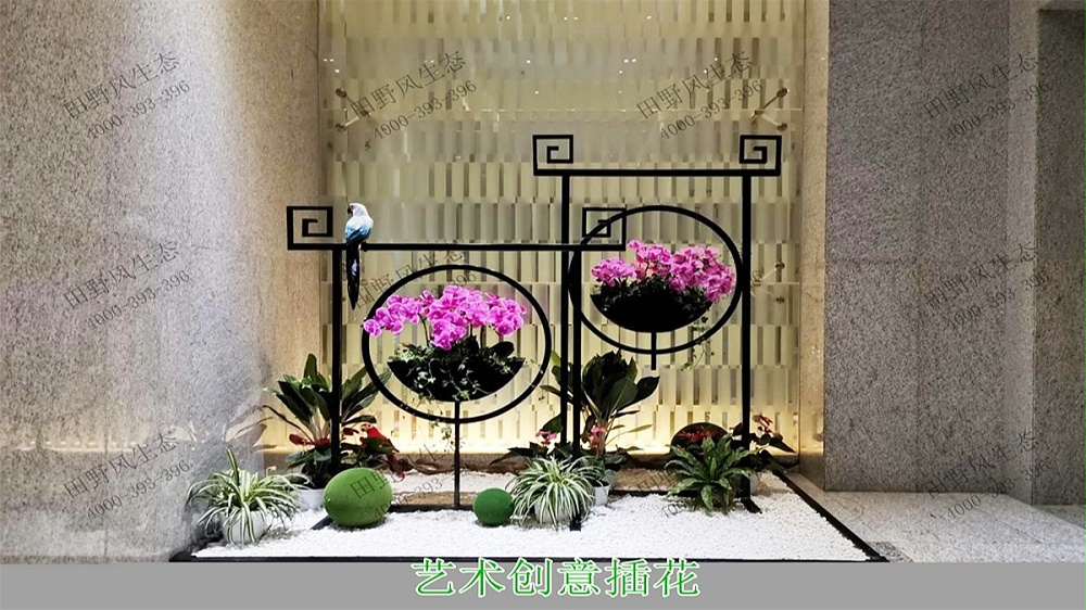 盆栽花卉租擺,中山醫(yī)科大學(xué)第一附屬醫(yī)院 盆栽花卉租擺,中山醫(yī)科大學(xué)第一附屬醫(yī)院