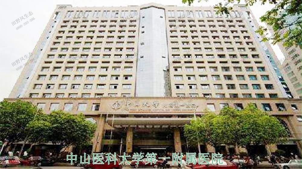 盆栽花卉租擺,中山醫(yī)科大學(xué)第一附屬醫(yī)院 盆栽花卉租擺,中山醫(yī)科大學(xué)第一附屬醫(yī)院