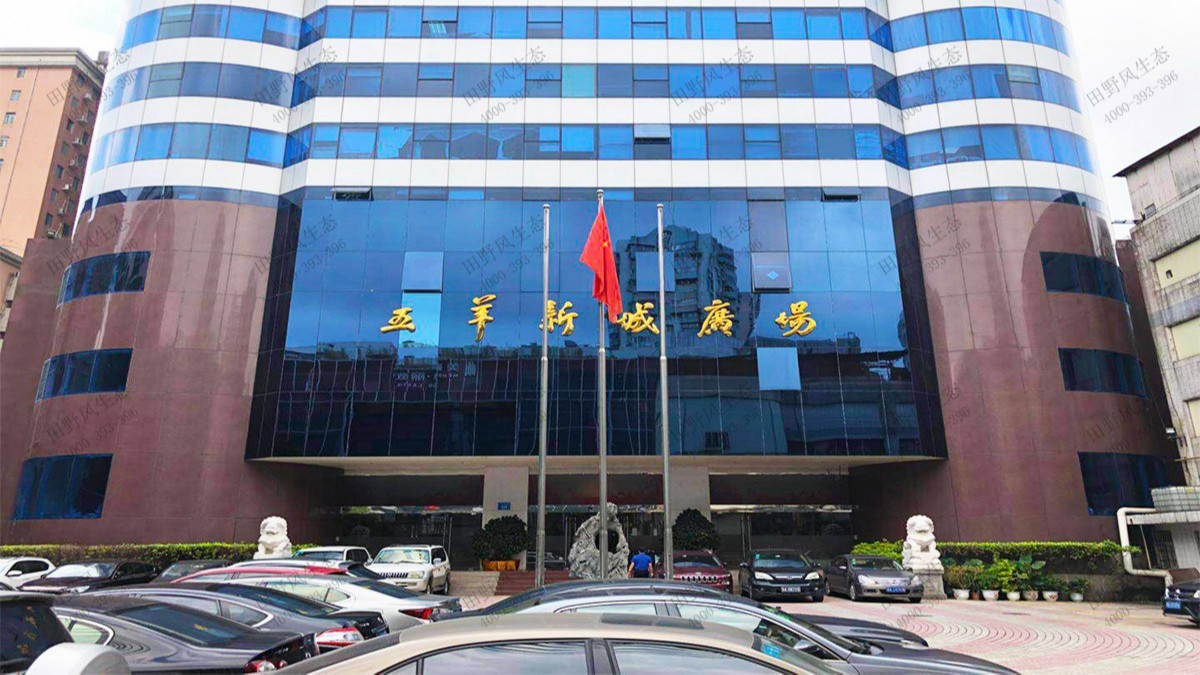 廣州國(guó)際工程公司綠植租賃案例 廣州國(guó)際工程公司綠植租賃案例