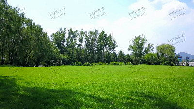 為什么要在秋季對草坪追肥？