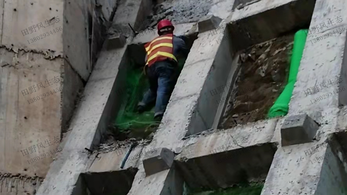 施工現(xiàn)場 施工現(xiàn)場