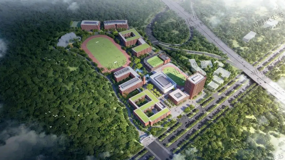 復(fù)綠效果 復(fù)綠效果