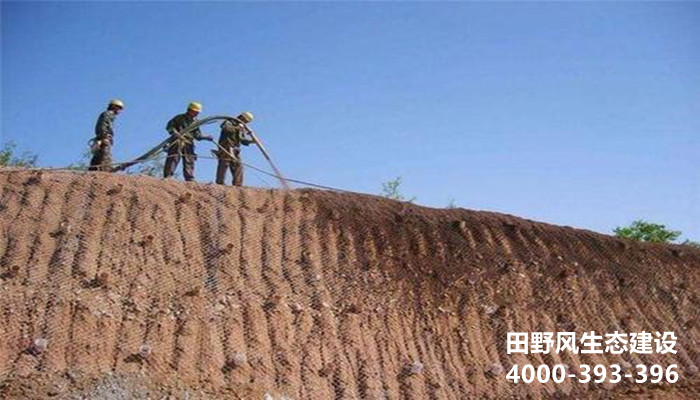 u=4275855497,1431056300&fm=26&gp=0