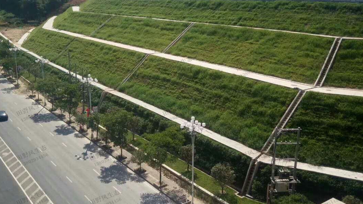 快速成坪的護(hù)坡草坪草種子有哪些？