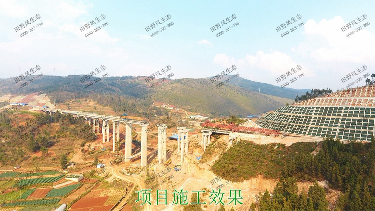 武深高速?gòu)V東段高速公路邊坡噴草 武深高速?gòu)V東段高速公路邊坡噴草