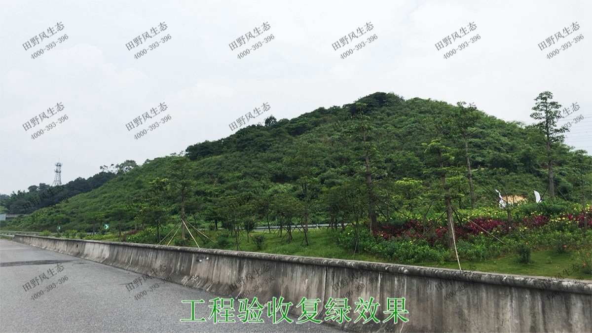 武深高速?gòu)V東段高速公路邊坡噴草 武深高速?gòu)V東段高速公路邊坡噴草