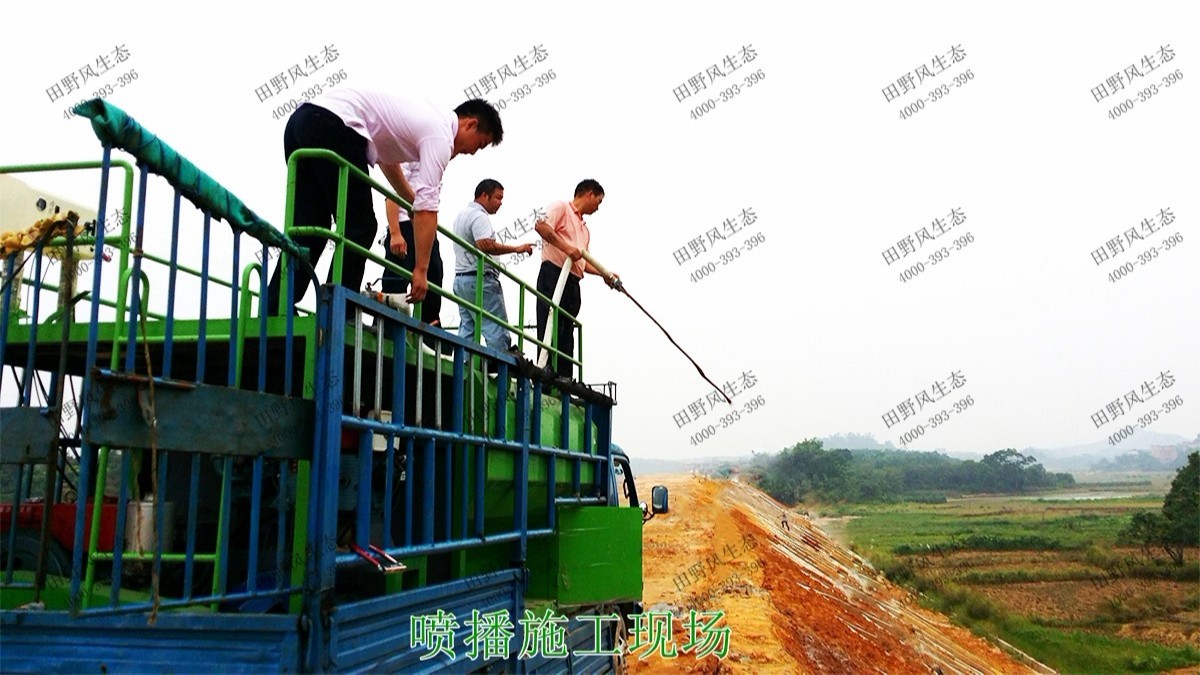 潮惠高速揭陽(yáng)段高速公路邊坡植草 潮惠高速揭陽(yáng)段高速公路邊坡植草