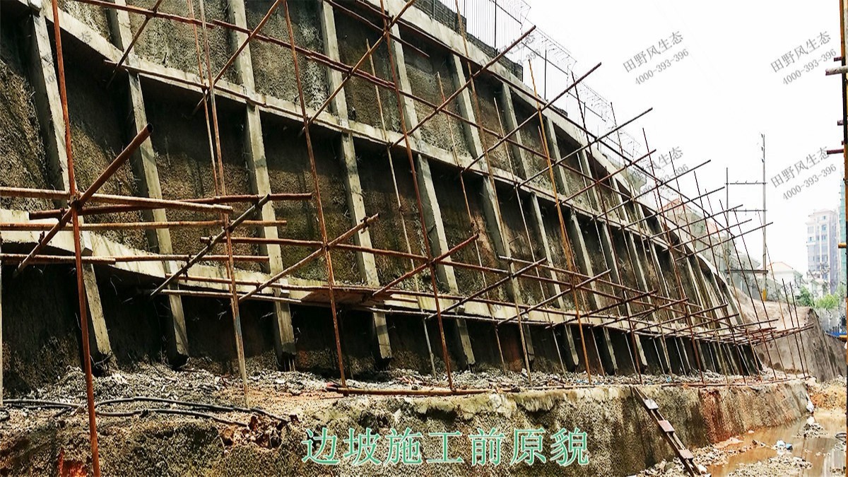 廣東清遠(yuǎn)美林基業(yè)地產(chǎn)邊坡復(fù)綠 廣東清遠(yuǎn)美林基業(yè)地產(chǎn)邊坡復(fù)綠