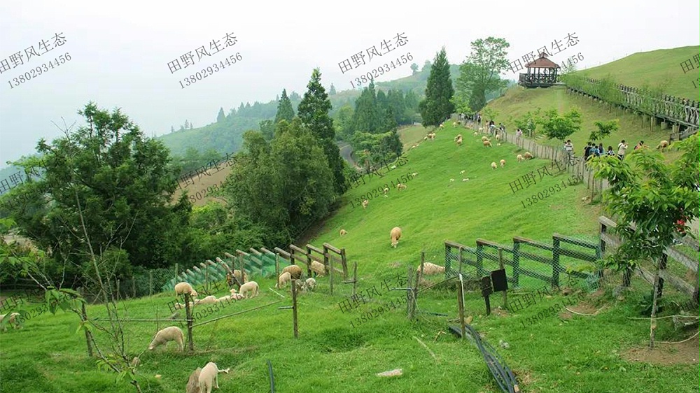 農(nóng)場(chǎng)科技邊坡復(fù)綠工程 農(nóng)場(chǎng)科技邊坡復(fù)綠工程