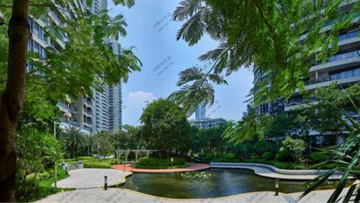 廣州天譽半島小區(qū)綠植養(yǎng)護案例 廣州天譽半島小區(qū)綠植養(yǎng)護案例