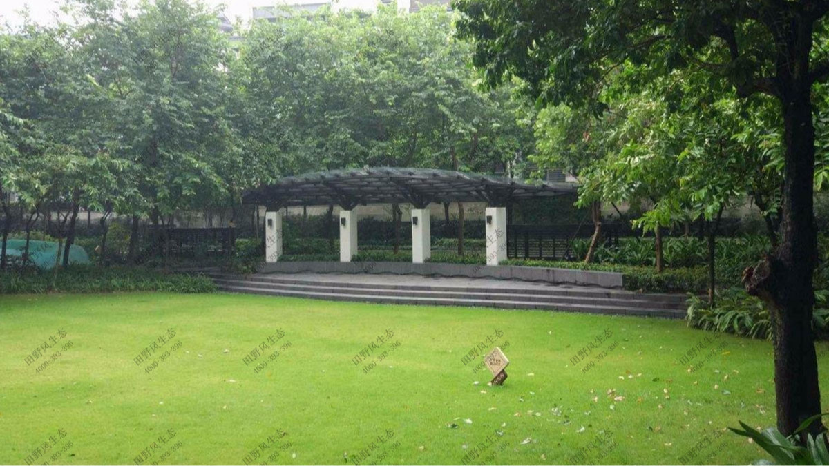 廣州頤德公館小區(qū)植物養(yǎng)護(hù)案例 廣州頤德公館小區(qū)植物養(yǎng)護(hù)案例