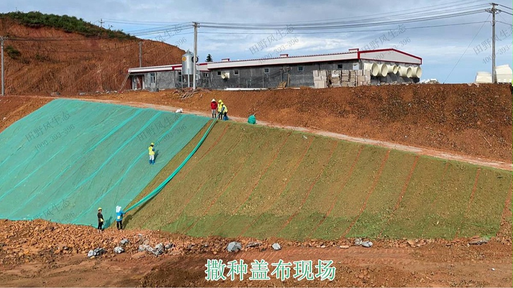 生態(tài)修復(fù)、邊坡復(fù)綠